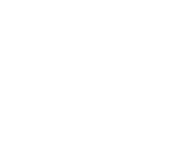 Evolution games at Slots Dreamer Casino